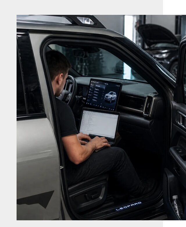 Русификация BYD Leopard 3 в Волхове по цене от 20831 р. | ФастМобиль-Влх